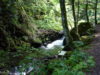 Beeindruckende Wanderung durch die Ravennaschlucht