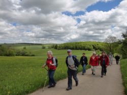 Wanderung auf der Sonnenbühler Alb