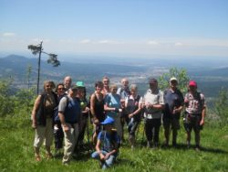 Schöne Wanderung bei Bad Herrenalb am 16. Juni 2013