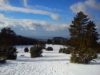 Winterwanderung bei Burgfelden am 26. Januar 2014