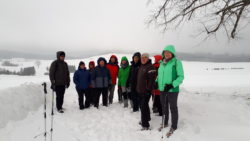 Winterwanderung des Engstlatter Albvereins
