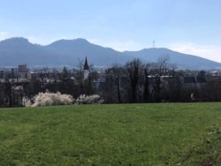 Mittwochswanderer am 2. April 2025 unterwegs bei Frommern